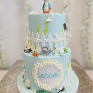 Peter Rabbit Cake